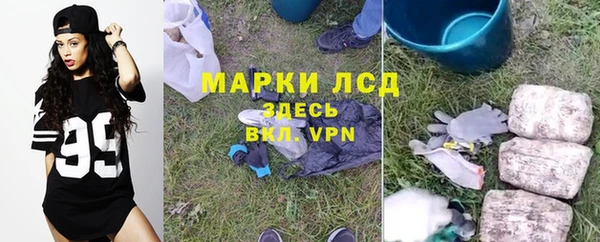 таблы Бородино
