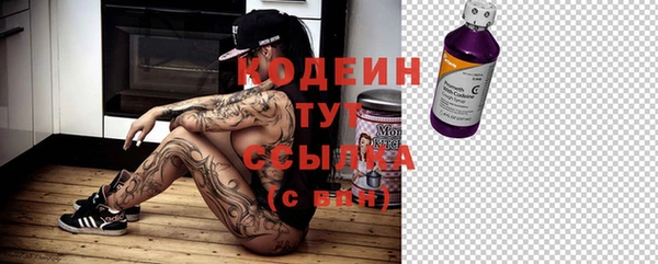 таблы Бородино