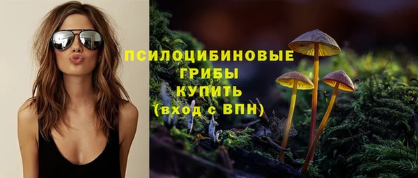 бошки Бугульма