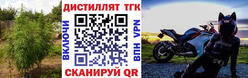 ТГК Wax  Грязовец 